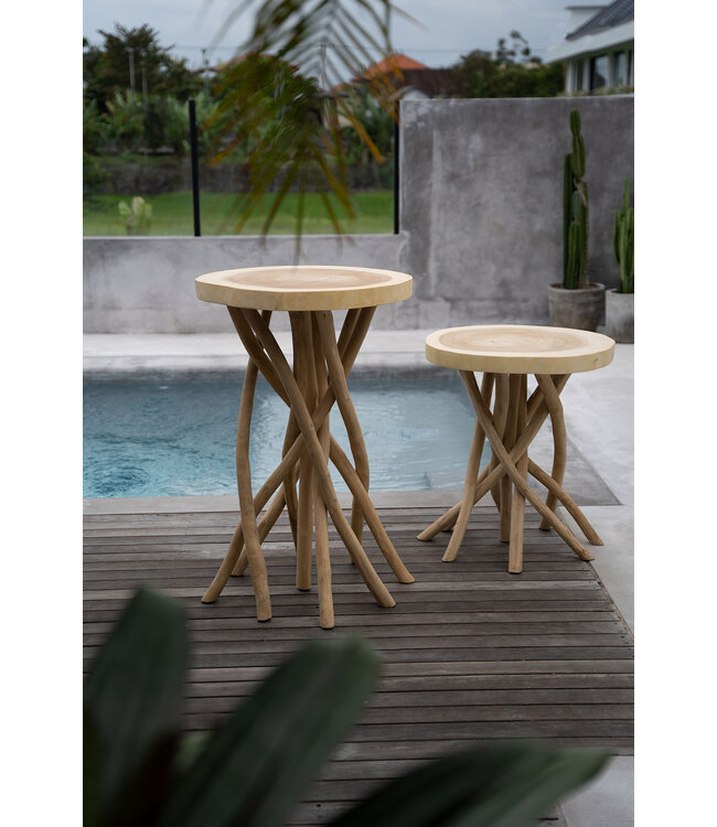 Bazar Bizar De Gili Bartafel