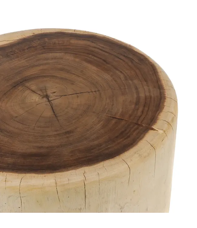 Bazar Bizar The Trunk Coffee Table - Natural