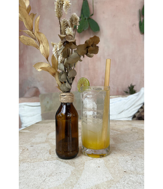 Bazar Bizar De Bamboe Rietjes - Set van 10 met reinigingsborsteltje