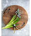 Bazar Bizar De Teak Root Snijplank - L
