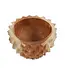Bazar Bizar De Teak Root Durian Kom - S