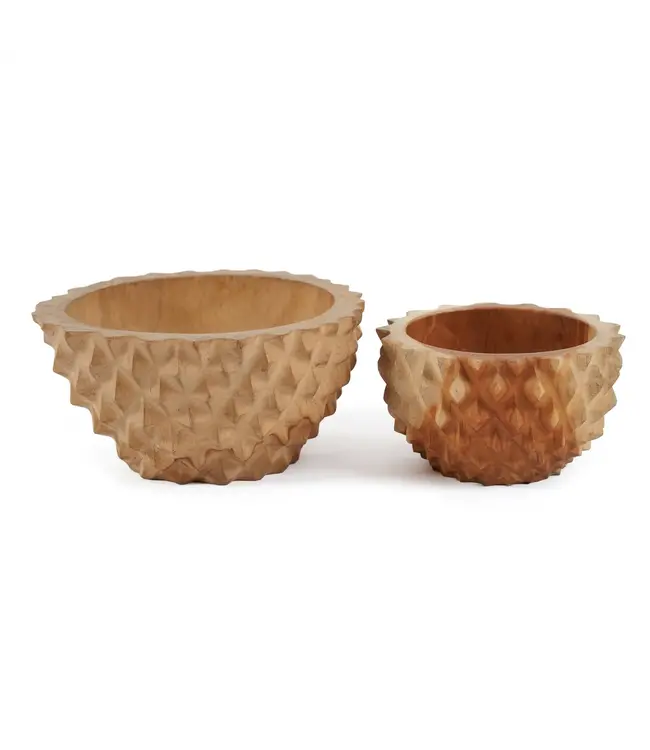 Bazar Bizar De Teak Root Durian Kom - S