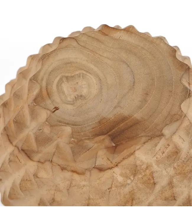 Bazar Bizar De Teak Root Durian Kom - M