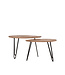 LABEL51 LABEL51 Salontafel Frisk - Rough - Mangohout 68x44x43cm