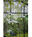 Light & Living Hanging lamp 30x25 cm MAYSON glass green+matt black