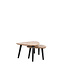 LABEL51 LABEL51 Salontafel Rock - Rough - Mangohout 110x64x39