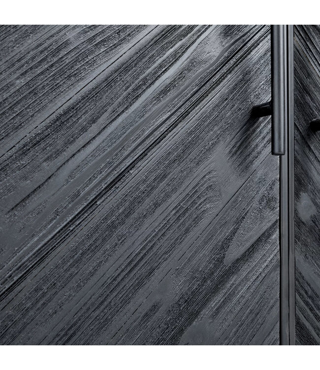 PTMD Rens Black Wooden cabinet metal frame 2 doors KD