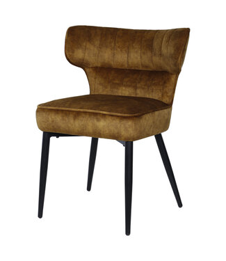 PTMD Zinno Brown dining chair