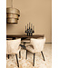 PTMD Zinno Brown dining chair