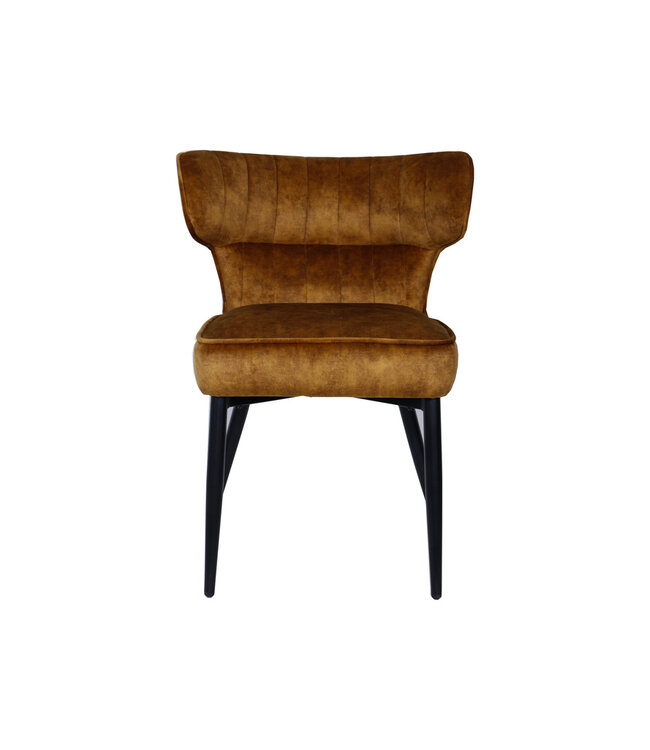 PTMD Zinno Brown dining chair