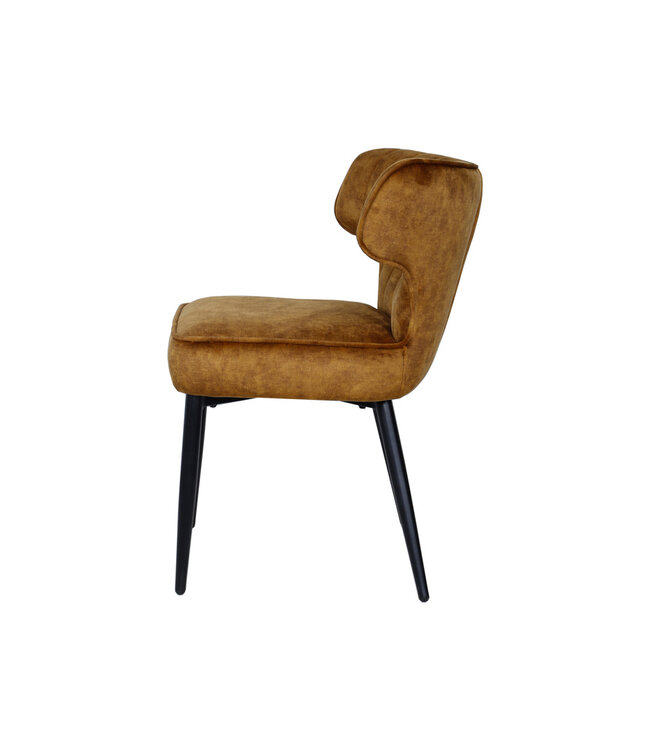 PTMD Zinno Brown dining chair