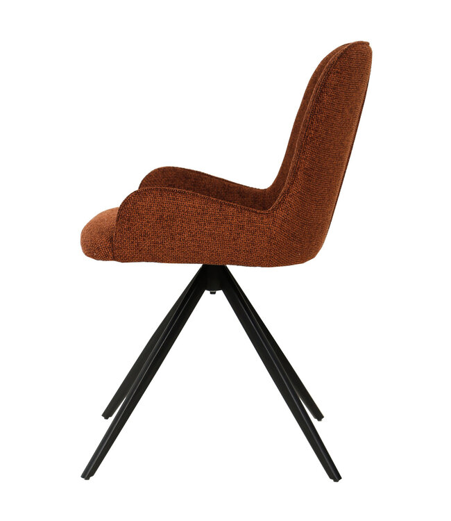 PTMD Leander Rust dining chair