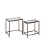 PTMD Lucinde Brass iron sidetable smoky glass rect SV2