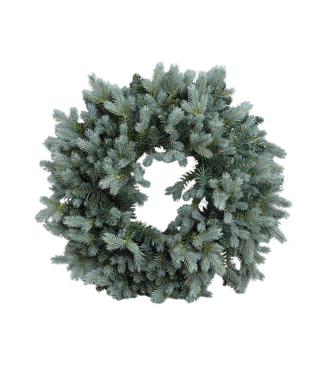 PTMD Ceriah Green PVC and PE mix wreath round S