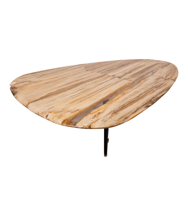 PTMD Deeba salontafel versteend hout 130