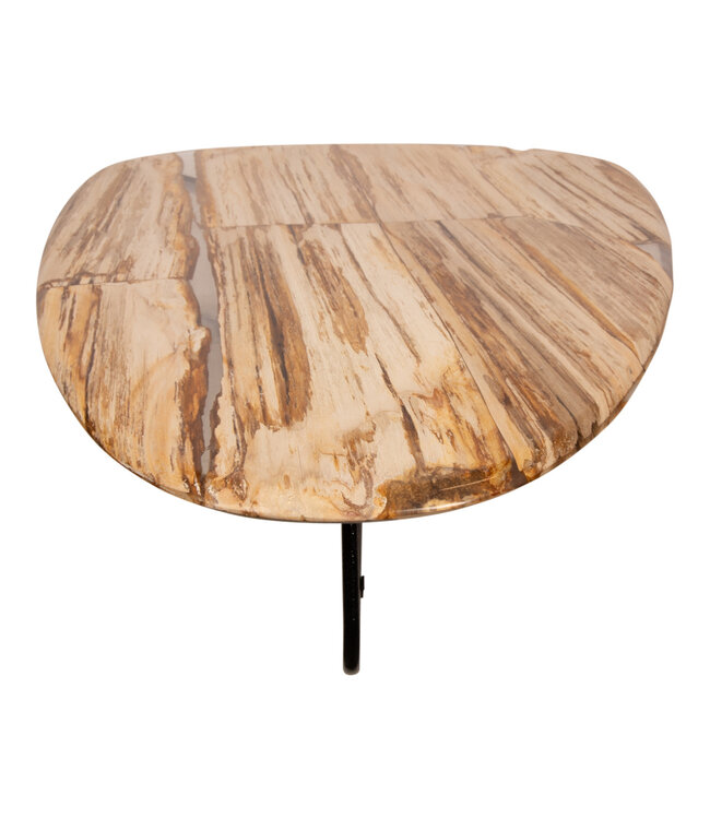 PTMD Deeba salontafel versteend hout 130