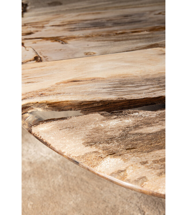 PTMD Deeba salontafel versteend hout 130