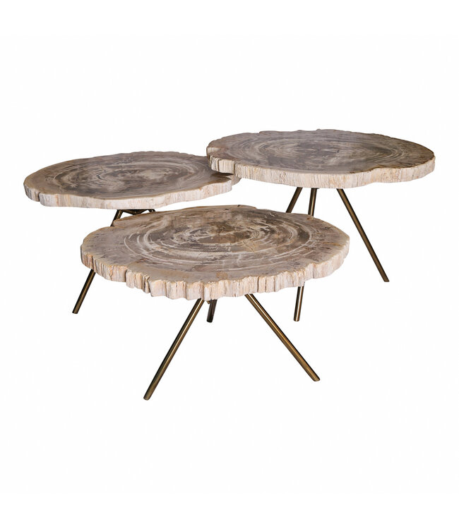 PTMD Nieuwe Khine crème versteend houten ronde salontafel sv