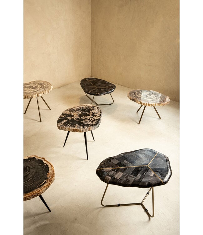 PTMD Nieuwe Khine crème versteend houten ronde salontafel sv