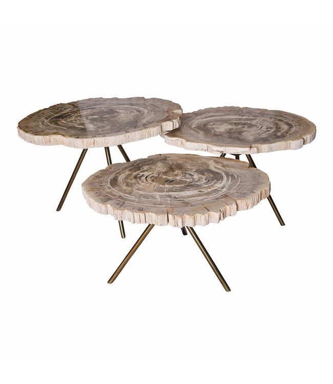 PTMD Nieuwe Khine crème versteend houten ronde salontafel sv