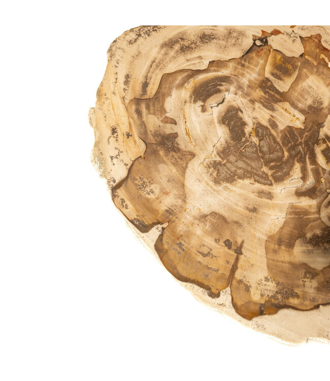 PTMD Jisse Natuurlijke versteend houten bijzettafel met gedraaide voet.