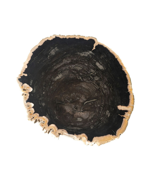 PTMD Jisse Zwarte versteend houten bijzettafel met gedraaide voet.