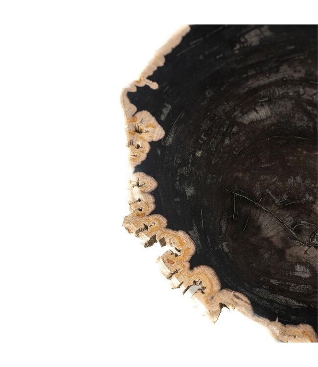 PTMD Jisse Zwarte versteend houten bijzettafel met gedraaide voet.