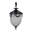 PTMD Lidde Crystal Oval Kroonluchter Lamp Klassiek S