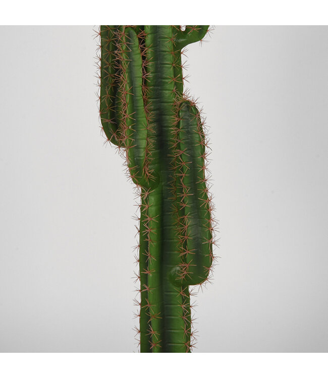 LABEL51 LABEL51 Cactus - Groen - Kunststof - 130 cm