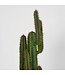 LABEL51 LABEL51 Cactus - Groen - Kunststof - 130 cm