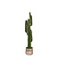 LABEL51 LABEL51 Cactus - Groen - Kunststof - 130 cm