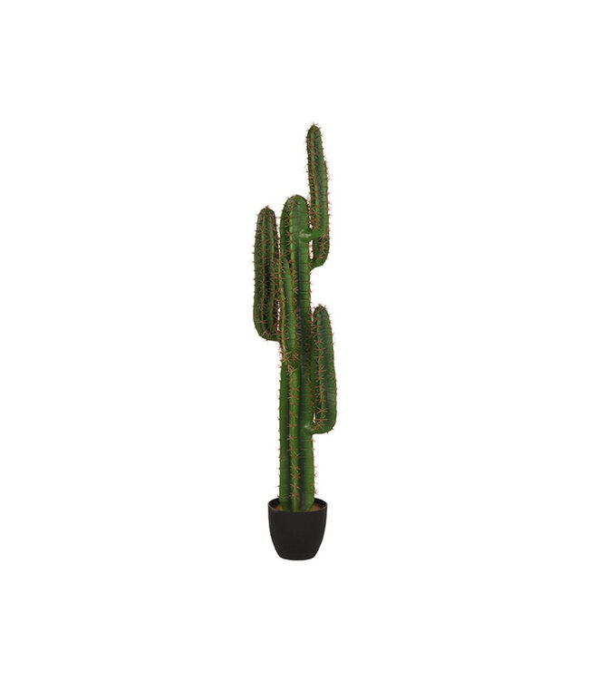 LABEL51 LABEL51 Cactus - Groen - Kunststof - 130 cm