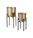LABEL51 LABEL51 Plantenstandaards - Antiek goud - Metaal