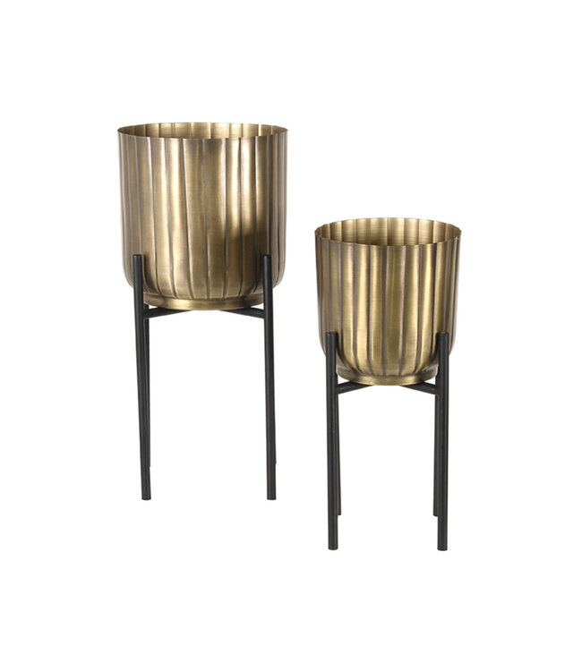 LABEL51 LABEL51 Plantenstandaards - Antiek goud - Metaal