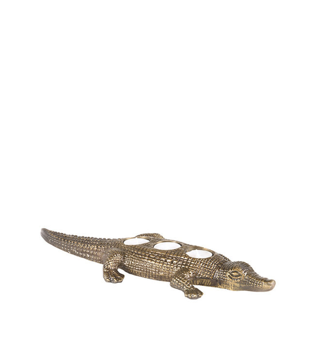 LABEL51 LABEL51 Krokodil - Antiek goud - Metaal