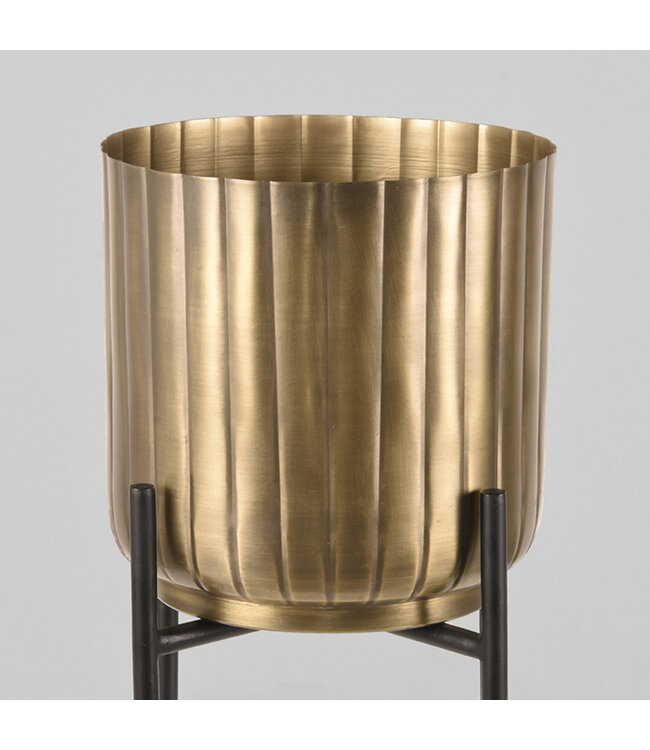 LABEL51 LABEL51 Plantenstandaards - Antiek goud - Metaal