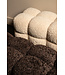 PTMD Teddy Bank Koffie