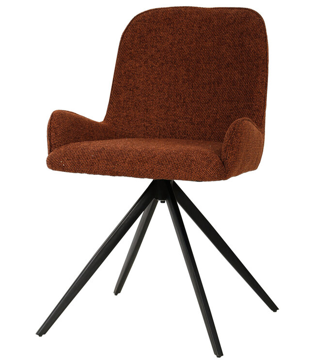 PTMD Leander Rust dining chair