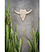 Bazar Bizar De Bull Shell - Wit