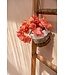 Bazar Bizar De Bananen Plantenhanger - Natuurlijk Wit - S