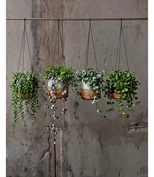 Bazar Bizar De Bananen Plantenhanger - Natuurlijk Wit - S