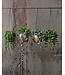 Bazar Bizar De Bananen Plantenhanger - Natuurlijk Wit - S