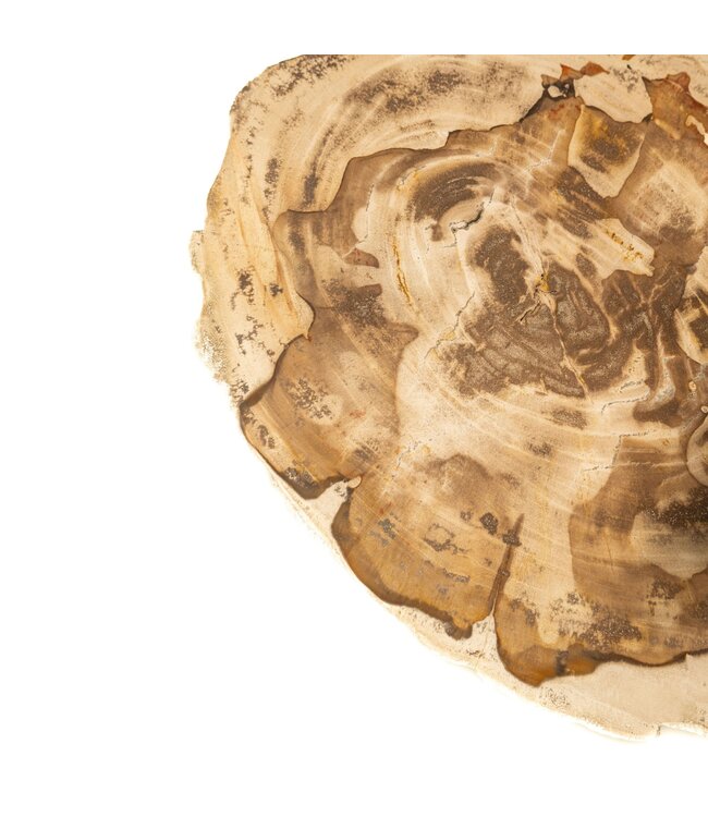 PTMD Jisse Natuurlijke versteend houten bijzettafel met gedraaide voet.