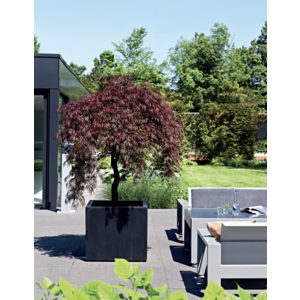 Figure 4 plantation en plein air
