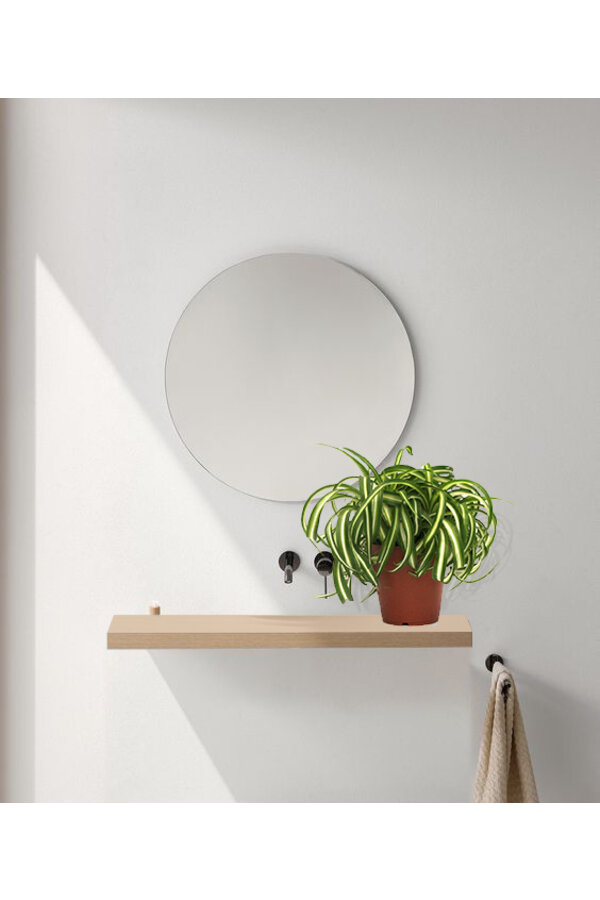 Plante verte Bonnie