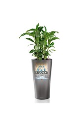 Delta All Inclusive L