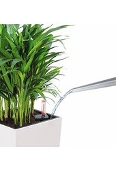 Cube All Inclusive L