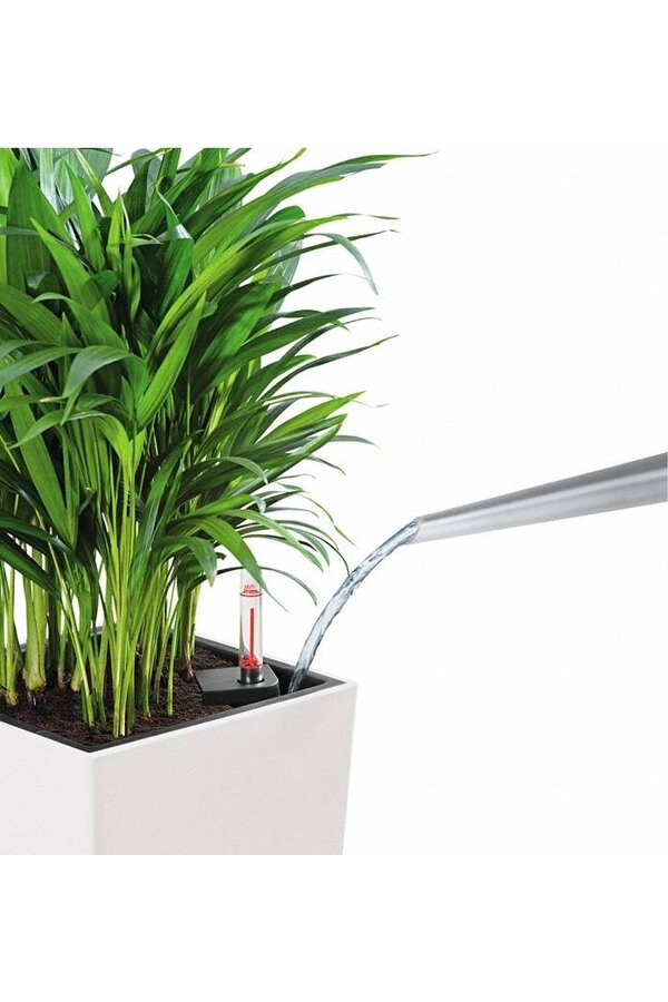 Cube All Inclusive L