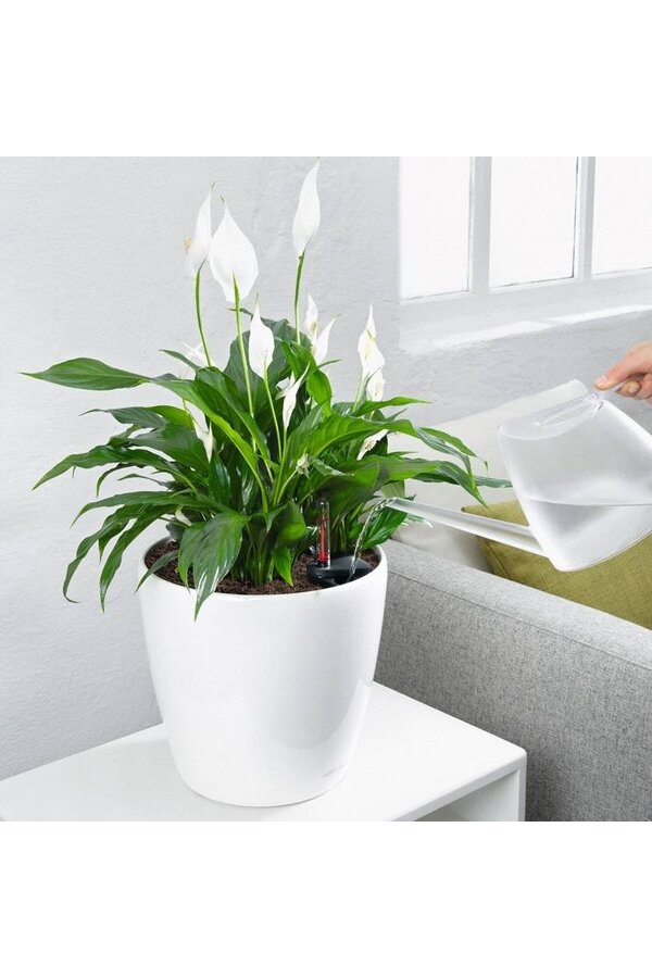 Ensemble classique tout compris S