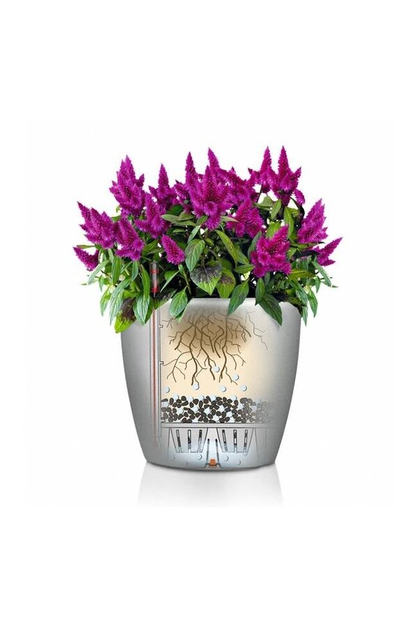 Ensemble classique tout compris S